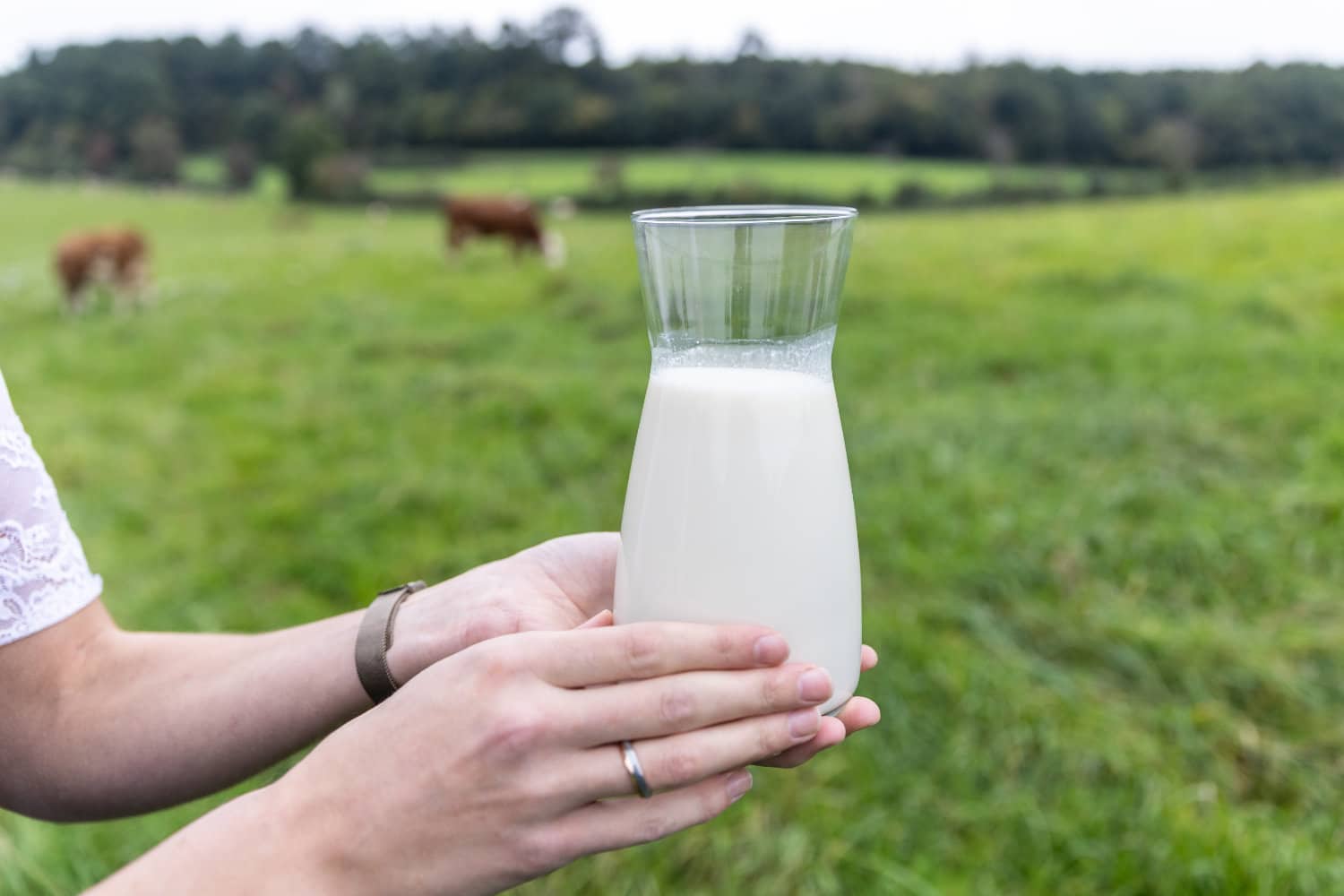 Die frische Milch in der Karaffe.