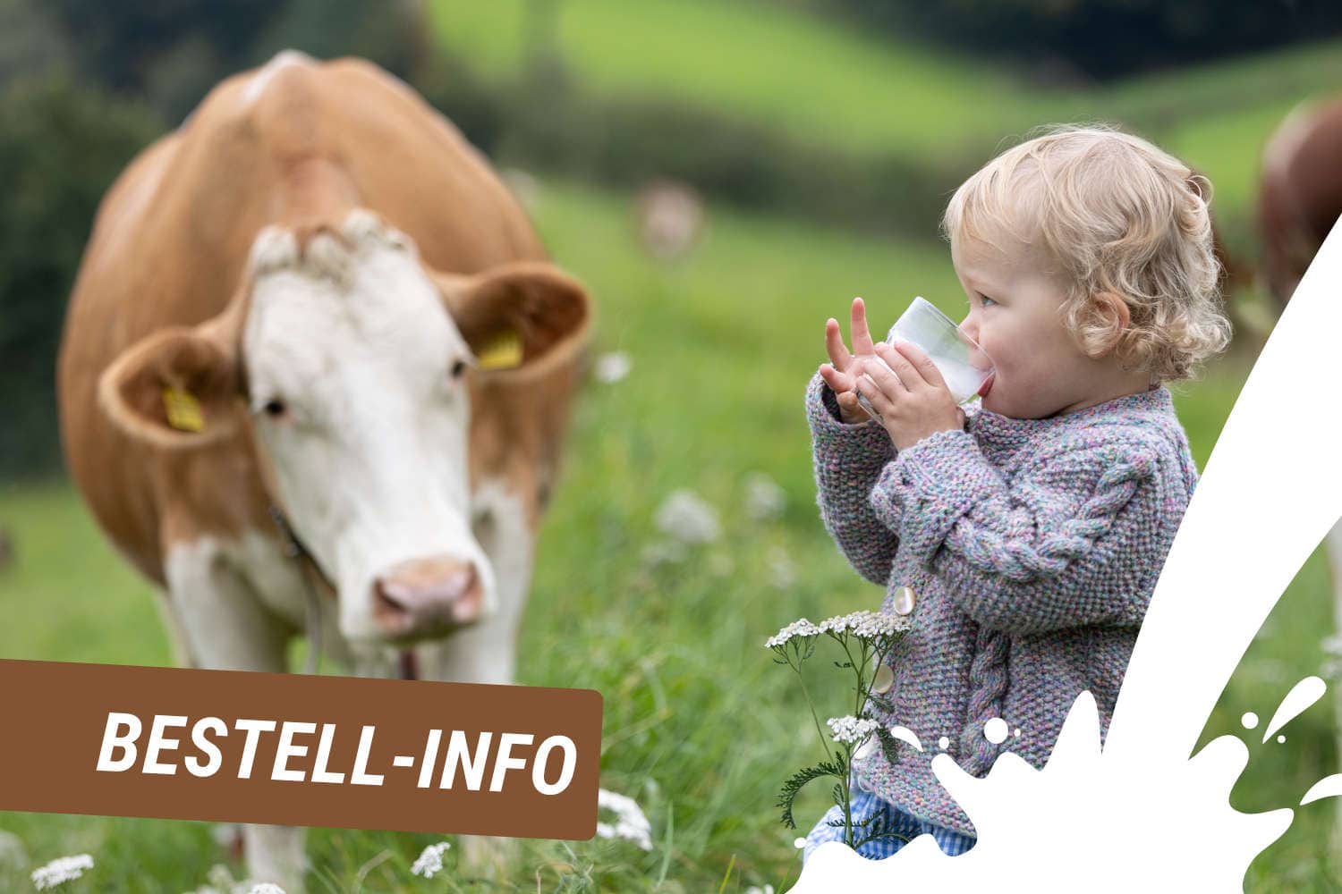 Bestell-Info Video